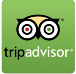 Logotipo TripAdvisor